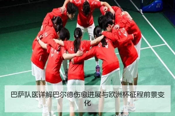 ba-sa-dui-yi-xiang-jie-ba-er-de-shang-yu-jin-zhan-yu-ou-zhou-bei-zheng-cheng-qian-jing-bian-hua-2-396.jpg