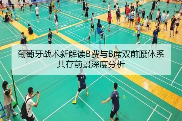 葡萄牙战术新解读B费与B席双前腰体系共存前景深度分析