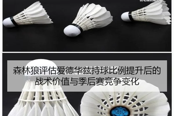 森林狼评估爱德华兹持球比例提升后的战术价值与季后赛竞争变化