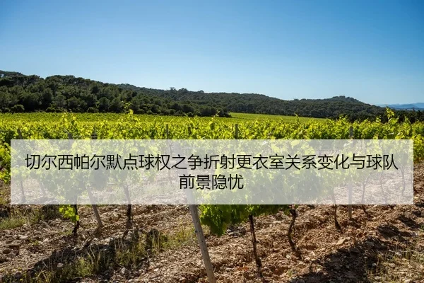 切尔西帕尔默点球权之争折射更衣室关系变化与球队前景隐忧